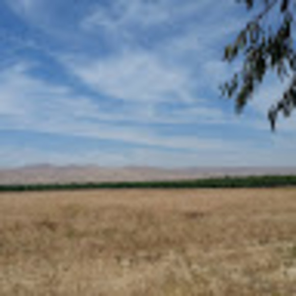 Meet your Posher, Andrea - Picture 1 of 1